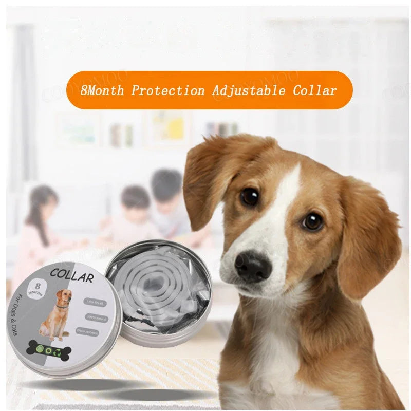 Dog Anti Flea and Tick Collars,Pet 8Month Protection Adjustable Collar for Large Dog Puppy Cat, Dogs Accessories