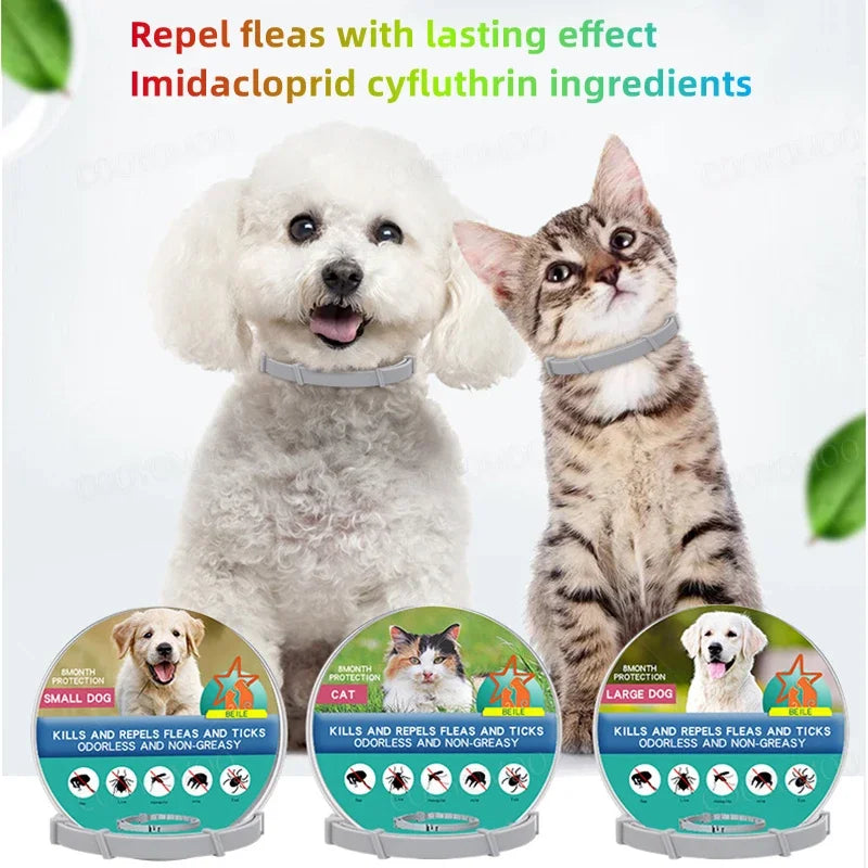 Dog Anti Flea and Tick Collars,Pet 8Month Protection Adjustable Collar for Large Dog Puppy Cat, Dogs Accessories