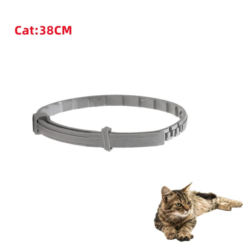 Dog Anti Flea and Tick Collars,Pet 8Month Protection Adjustable Collar for Large Dog Puppy Cat, Dogs Accessories