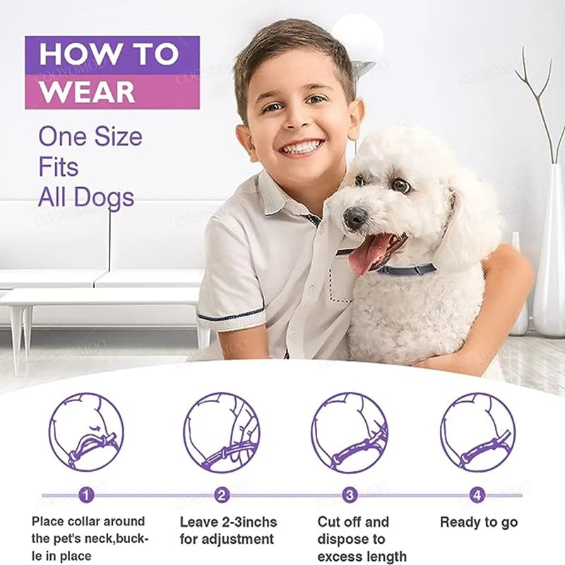 1/2 Pc Dog Calming Pheromone Collars Cats Relieve Anxiety Adjustable Comfortable Collar For Puppy Kitten Large Dogs Accessories