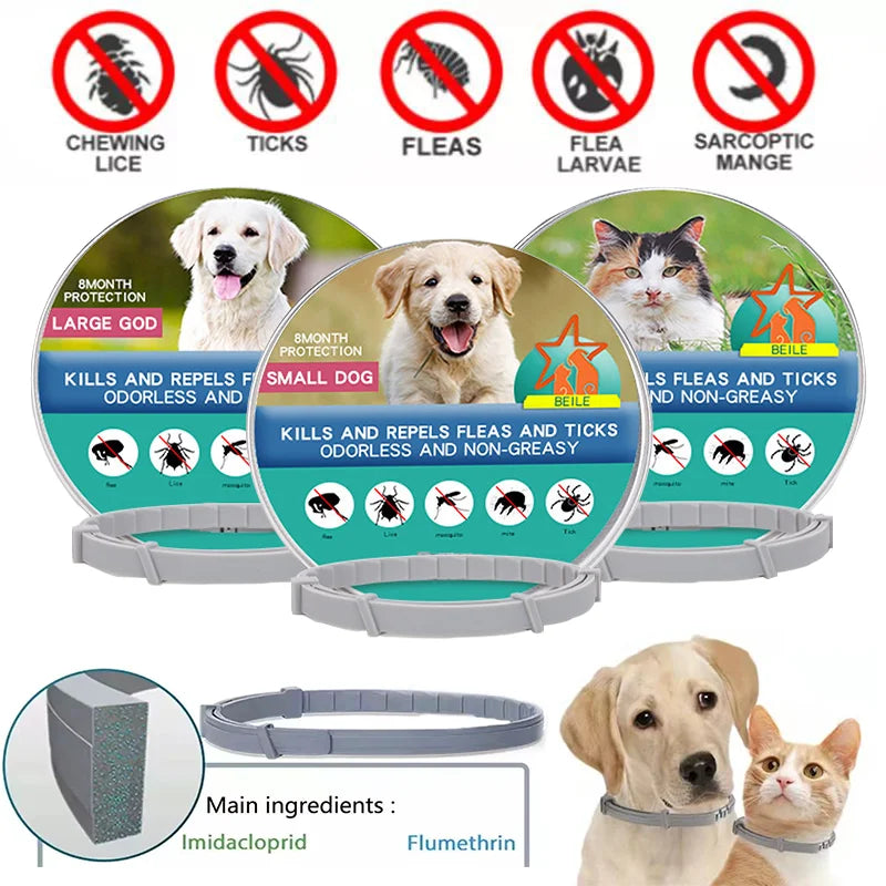 New Releases Dog Collar,Cat Anti-flea and Tick Collars, Pet 8Months Protection, Can Be Automatically Adjusted, Dogs Accessories