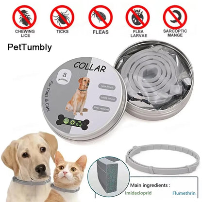 Dog Anti Flea and Tick Collars,Pet 8Month Protection Adjustable Collar for Large Dog Puppy Cat, Dogs Accessories