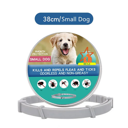 Dog Anti Flea and Tick Collars,Pet 8Month Protection Adjustable Collar for Large Dog Puppy Cat, Dogs Accessories