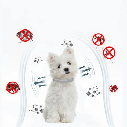 New Releases Dog Collar,Cat Anti-flea and Tick Collars, Pet 8Months Protection, Can Be Automatically Adjusted, Dogs Accessories