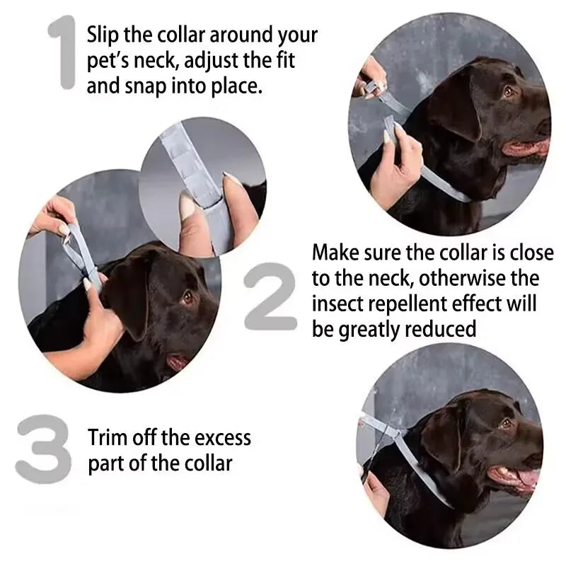 New Releases Dog Collar,Cat Anti-flea and Tick Collars, Pet 8Months Protection, Can Be Automatically Adjusted, Dogs Accessories