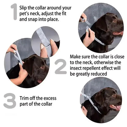 New Releases Dog Collar,Cat Anti-flea and Tick Collars, Pet 8Months Protection, Can Be Automatically Adjusted, Dogs Accessories
