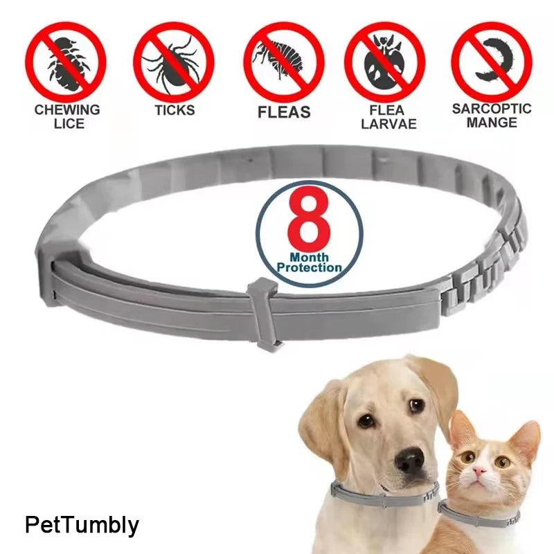 Dog Anti Flea And Ticks Cats Collar Pet 8Month Protection Retractable Pet Collars For Puppy Cat Large Dogs Accessories