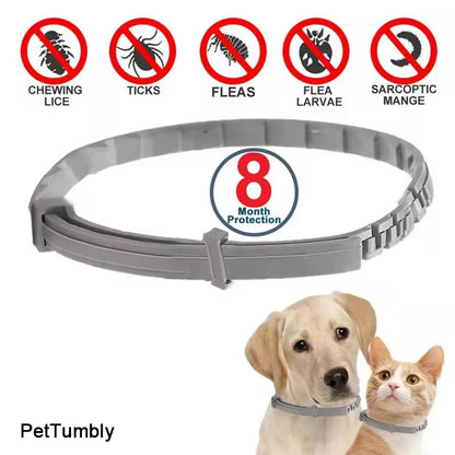 Dog Anti Flea And Ticks Cats Collar Pet 8Month Protection Retractable Pet Collars For Puppy Cat Large Dogs Accessories