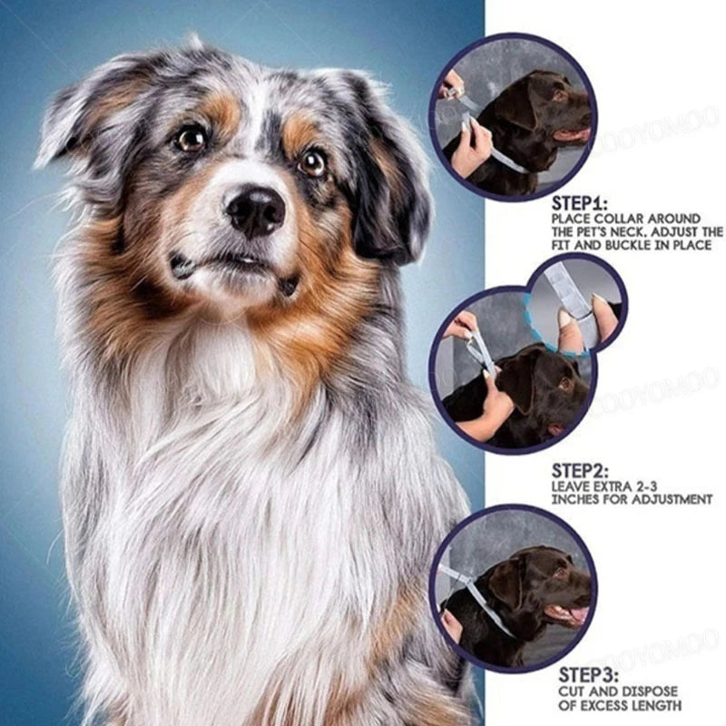 Dog Anti Flea and Tick Collars,Pet 8Month Protection Adjustable Collar for Large Dog Puppy Cat, Dogs Accessories