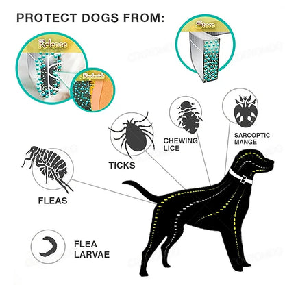 Dog Anti Flea and Tick Collars,Pet 8Month Protection Adjustable Collar for Large Dog Puppy Cat, Dogs Accessories